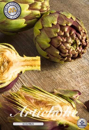 bloembollen, Tuin en Terras, Bloembollen en Zaden, Bloembol, Voorjaar, Volle zon, Ophalen