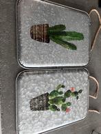 Set van 2 zinken wandborden met  cactusprint, Ophalen of Verzenden