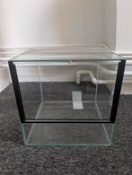 Glazen terrarium 30x30x30, Ophalen, Gebruikt, Terrarium of Paludarium