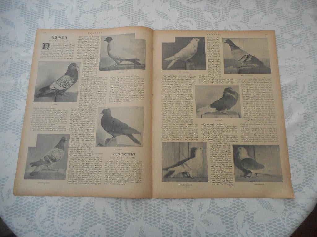 Duiven. 1904., Ophalen of Verzenden, Voor 1920, Nederland, Knipsel(s)