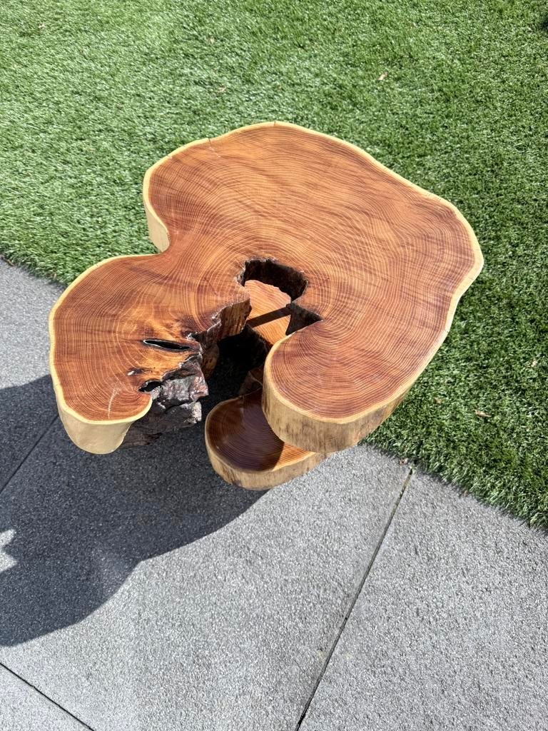 Boomstam bijzettafel, Ophalen, 50 tot 100 cm, 50 tot 100 cm, Zo goed als nieuw