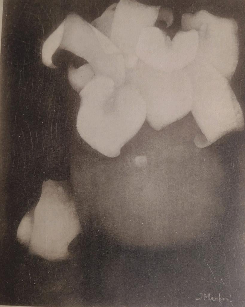 Jan Mankes - vaasje met Aronskelken, Antiek en Kunst, Ophalen of Verzenden