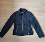 Jasje Massimo Dutti, Massimo Dutti, Blauw, Nieuw, Ophalen of Verzenden