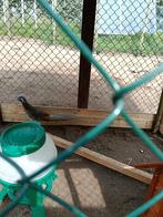 Mooie vogels bij na op kleur, Meerdere dieren