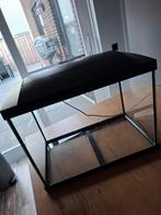 Superfish aquarium+benodigdheden, Ophalen, Zo goed als nieuw, Leeg aquarium