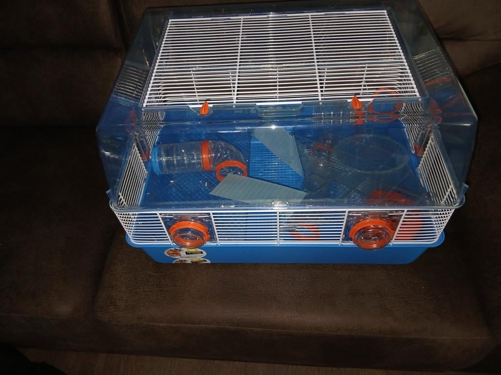 Ferplast Hamsterkooi duna fun Blauw|Oranje 55x47x37,5 cm, Dieren en Toebehoren, Kooi, Minder dan 75 cm, Ophalen, Minder dan 60 cm