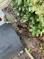 Stenen plantenbak vierkant groot., Ophalen, Steen, Gebruikt, Minder dan 60 cm