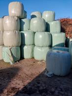 Midi balen voordroogkuil - Ideaal voor paarden en kleinvee, Meerdere dieren, Schaap