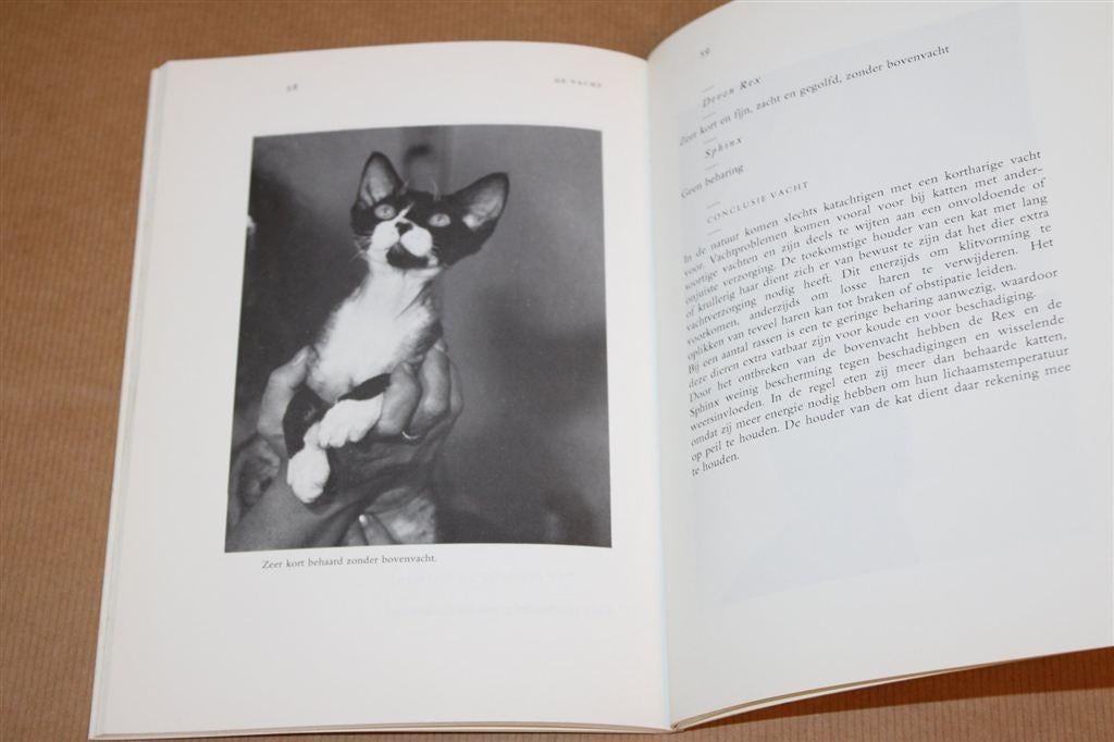 Schadelijke Raskenmerken Katten — Officiële Uitgave [1992], Ophalen of Verzenden, Gelezen, Katten