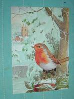 20) Kleuren ansichtkaart  Roodborst  Vogels, Ophalen of Verzenden, 1980 tot heden, Gelopen, Vogel