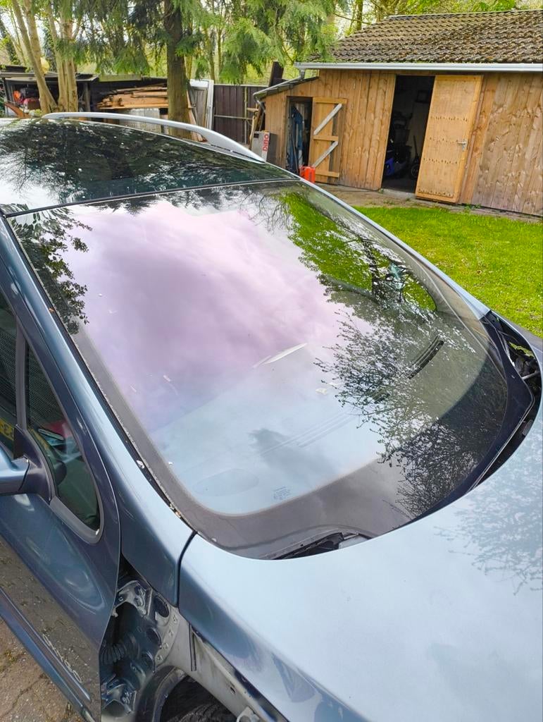 Peugeot 307 sw voorruit, Ophalen of Verzenden