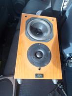 1x Chario Syntar 100 - Werkend getest in goede staat, Audio, Tv en Foto, Overige merken, Gebruikt, Ophalen of Verzenden, Minder dan 60 watt