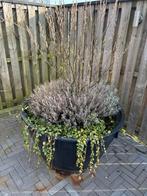 Kunststof bloembak, Ophalen, Rond, Kunststof