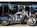 Harley Davidson Chopper VRSCR V-Rod Inruil Mogelijk, Indian, Chopper, Bedrijf, Meer dan 35 kW