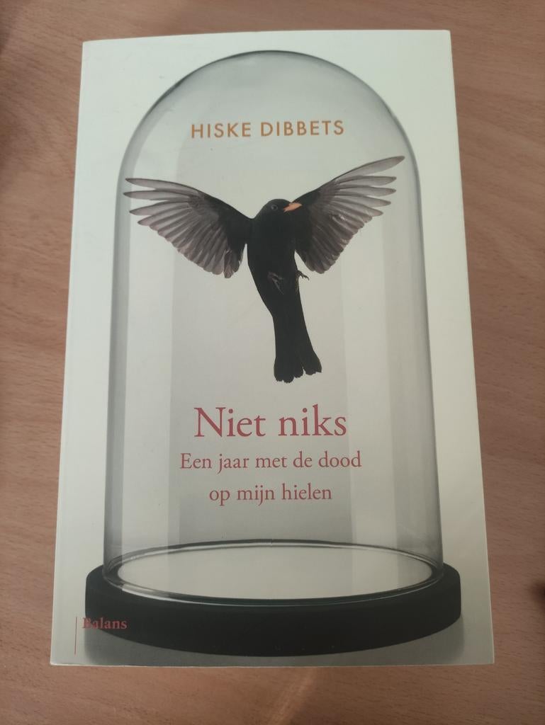 Hiske Dibbets - Niet niks, Hiske Dibbets, Sociale psychologie, Ophalen of Verzenden, Zo goed als nieuw