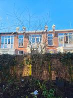 Japanse Esdoorn (Acer palmatum) - 270-280 cm hoog, Tuin en Terras, Planten | Bomen, Ophalen, Halfschaduw, Overige soorten, Lente