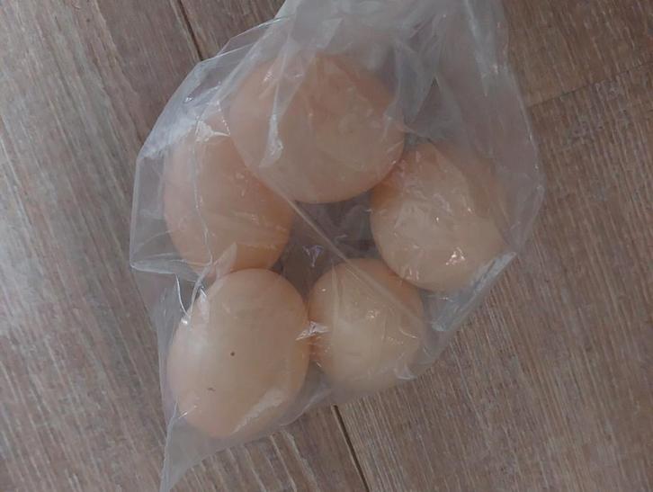 nep kippen eieren bruin plastic, Dieren en Toebehoren, Pluimvee | Toebehoren, Nieuw, Overige typen, Ophalen of Verzenden