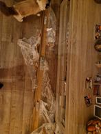 Nieuwe driepuntssluiting voor optimale beveiliging, Ophalen, Nieuw, IJzer, Slot