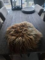 Schapenvacht 50x50, Ophalen of Verzenden, Vierkant, 50 tot 100 cm, 50 tot 100 cm