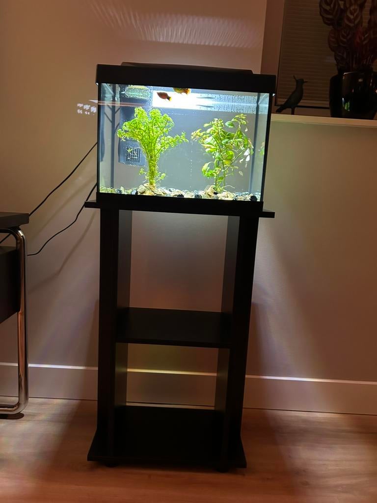 30 liter Aquarium incl meubel, Ophalen, Zo goed als nieuw, Gevuld zoetwateraquarium