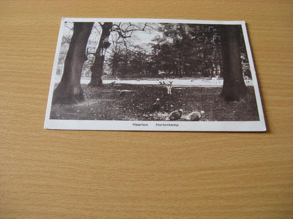 Haarlem Hertenkamp 2, Ophalen of Verzenden, Voor 1920, Gelopen, Noord-Brabant
