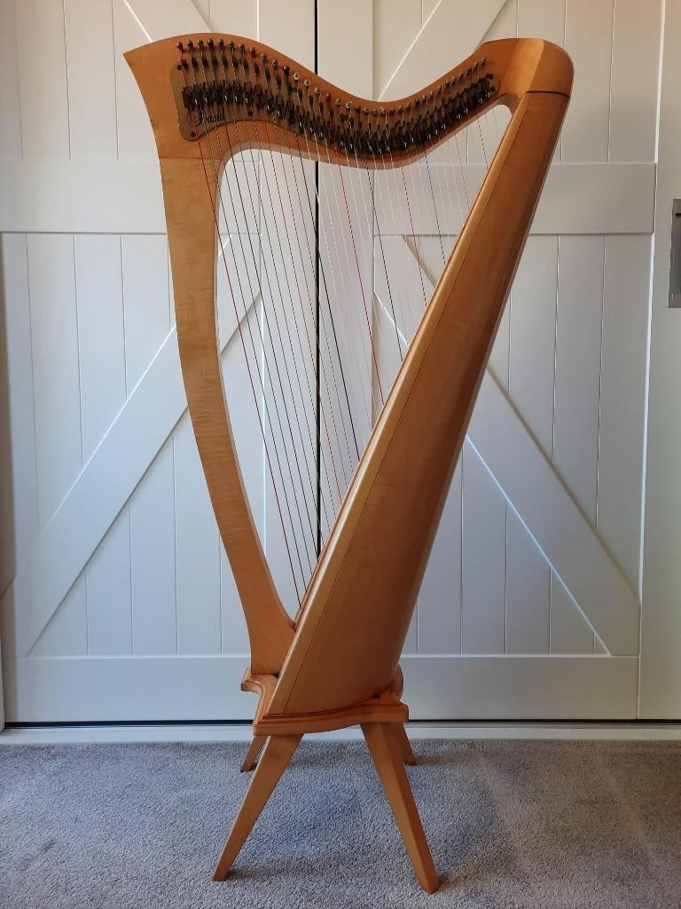 Haakjesharp David, Muziek en Instrumenten, Snaarinstrumenten | Harpen, Ophalen, Gebruikt
