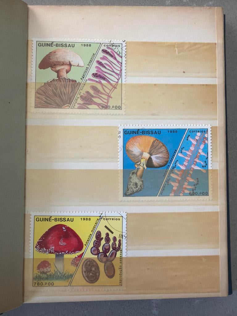Postzegelverzameling Paddenstoelen en Vissen, Postzegels en Munten, Postzegels | Volle albums en Verzamelingen, Ophalen of Verzenden