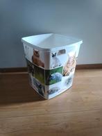 Bak met poezen erop, Ophalen of Verzenden, Kat