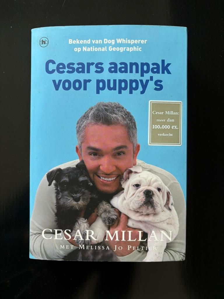 Cesar Millan - Cesars aanpak voor puppy's, Boeken, Dieren en Huisdieren, Zo goed als nieuw, Honden, Ophalen of Verzenden