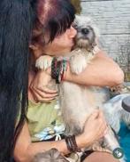 Yorkshire Terrier Mix reu 5 maanden, Particulier, 15 weken tot 1 jaar, Buitenland, Parvo