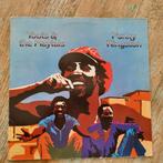 Toots & The Maytals - Funky Kingston LP (1975), Ophalen of Verzenden, Gebruikt, 12 inch