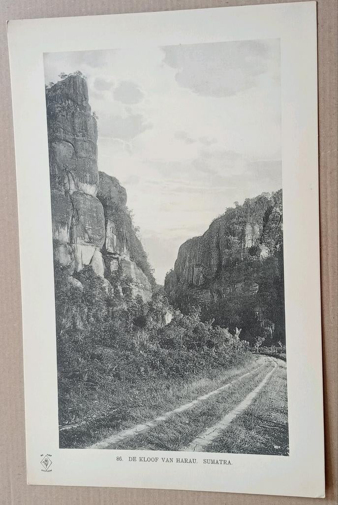 Foto gravure 1910 Nederlands Indië, Indonesië 18x28 cm, Verzamelen, Ophalen of Verzenden, Voor 1940, Zo goed als nieuw, Buitenland