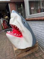Decoratieve Haaienkop - Uniek stuk!, Ophalen, Gebruikt, Dier