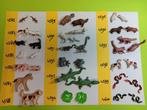 Playmobil Dieren 4582-4600 Koala Poolvos Rode Panda Kaketoe, Verzenden, Gebruikt, Los playmobil