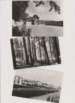 ansichtkaarten Raalte, Berg en Dal, Schiedam, Putten, Ophalen of Verzenden, Noord-Brabant