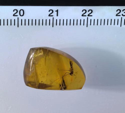 Birmees Amber (G2) met insluiting van Assassin Spider., Verzamelen, Mineralen en Fossielen, Fossiel, Verzenden