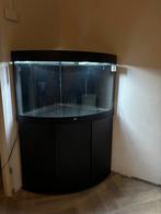 Aquarium, Dieren en Toebehoren, Vissen | Aquaria en Toebehoren, Ophalen, Zo goed als nieuw, Leeg aquarium