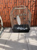 Zwarte vogelkooi, Ophalen, Zo goed als nieuw, Metaal, Vogelkooi
