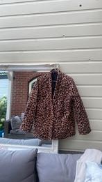 Tussenjas panter, Kleding | Dames, Jassen | Zomer, Ophalen of Verzenden, Zo goed als nieuw, Maat 38/40 (M), Bruin