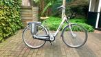 Giant Twist Double nieuw display & Controler & revisie motor, Fietsen en Brommers, 51 tot 55 cm, Ophalen, Gebruikt