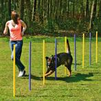 Agility Slalomset Palen 6 stuks Palen Training Hondensport, Nieuw, Ophalen of Verzenden