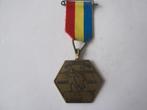 medaille schaatsen, Postzegels en Munten, Ophalen of Verzenden, Overige materialen, Nederland