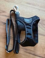 Dog Copenhagen set Black, Dieren en Toebehoren, Ophalen of Verzenden, Zo goed als nieuw