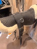 Longeersingel maat full, Dieren en Toebehoren, Ophalen of Verzenden, Gebruikt, Overige soorten