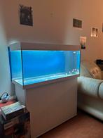 Nieuw Juwel Aquarium Rio 180 + bon + doos, Ophalen, Nieuw