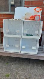 Kweekkooien, Dieren en Toebehoren, Vogels | Hokken en Kooien, Ophalen, Gebruikt, Kunststof, Broedkooi of Kweekkooi