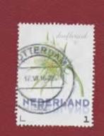 3013 - Pers.zegel - Bloem - Duifkruid - gebr (pst. R'dam), Postzegels en Munten, Postzegels | Nederland, Ophalen of Verzenden