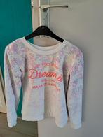 Truien maat 146, Kinderen en Baby's, Kinderkleding | Maat 146, Ophalen of Verzenden, Gebruikt, Meisje, Trui of Vest