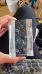 3D laser glas schildpadjes, Verzamelen, Ophalen of Verzenden