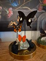 zelfgemaakt. geprepareerd. vlinders. edelsteen, Huis en Inrichting, Woonaccessoires | Stolpen, Ophalen of Verzenden, Nieuw